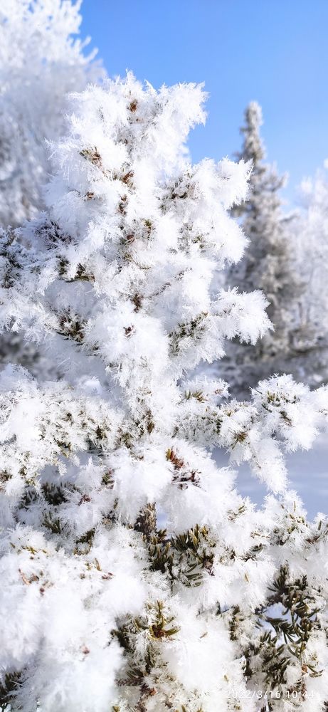 Photograph by Светлана Зотова