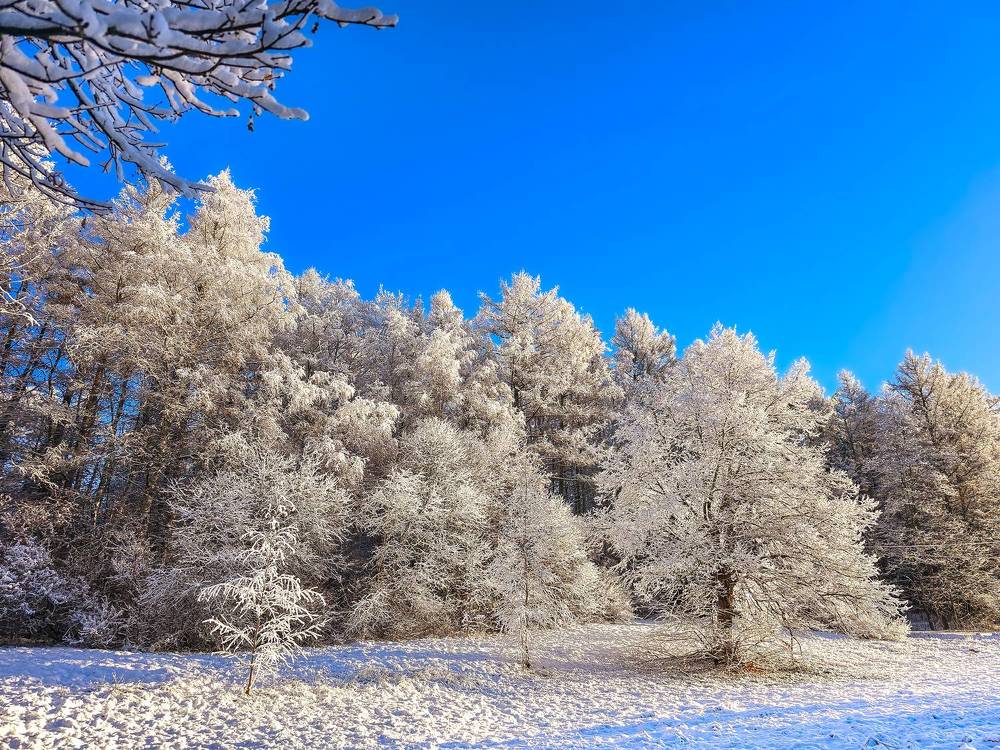 Photograph by Chic.chiquitita