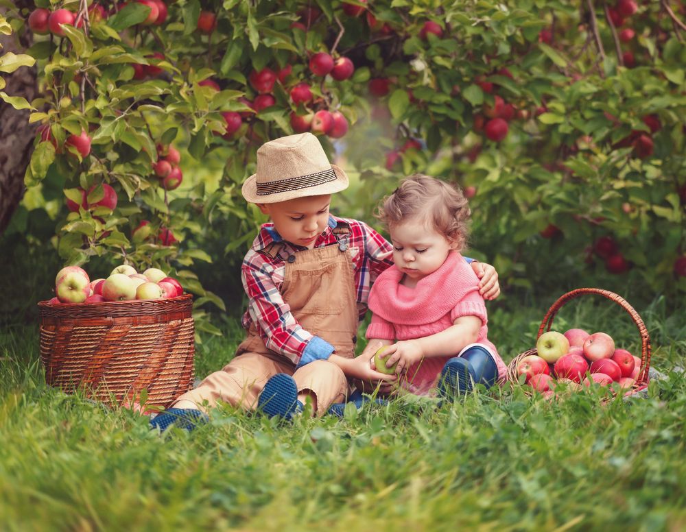 Photograph by Maria Potashova