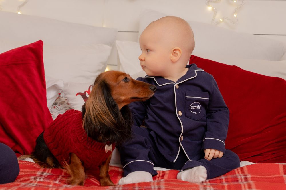 Photograph by Татьяна Тарасенко