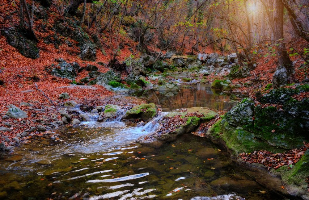 Фотография автора Виктор Долматов