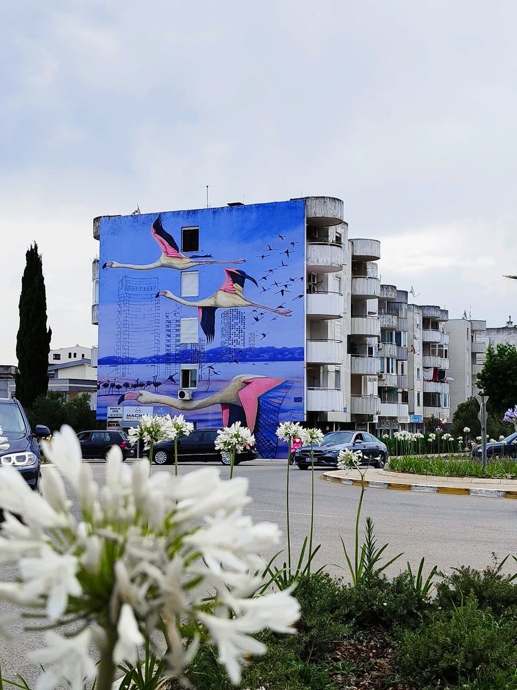 Фотография автора JELENA VASIC