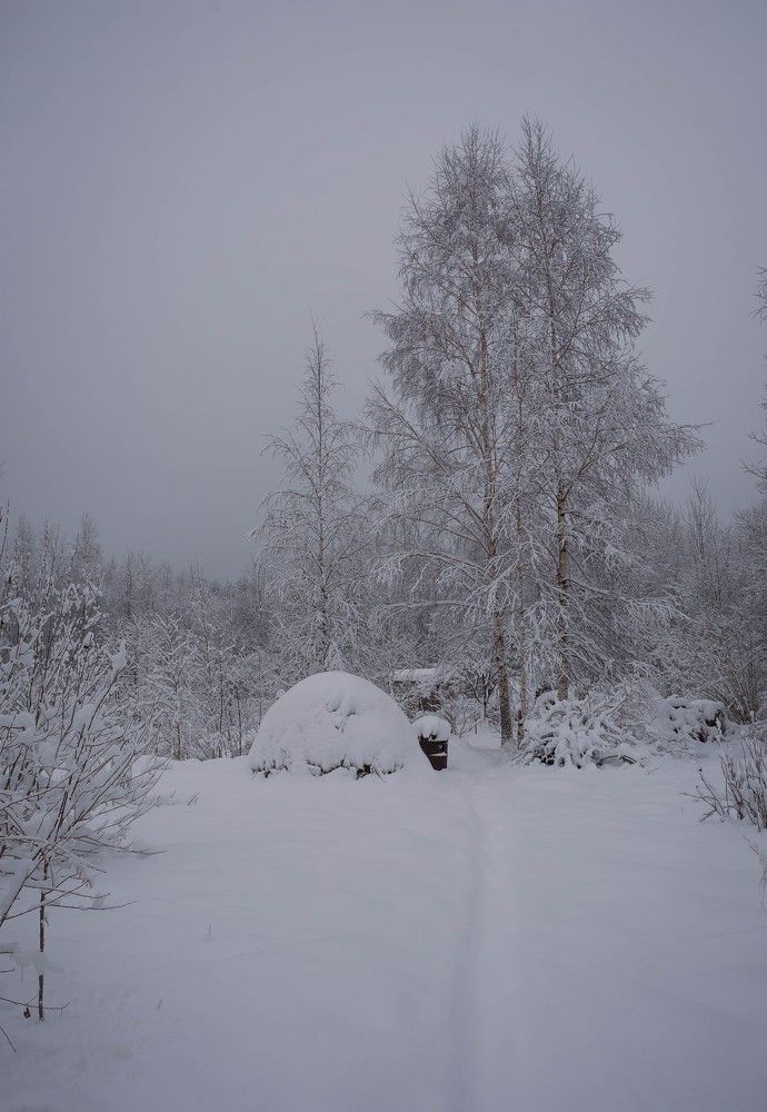 Photograph by Елена Царёва