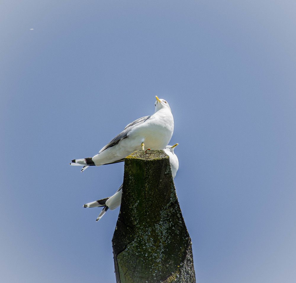 Photograph by Елена Царёва