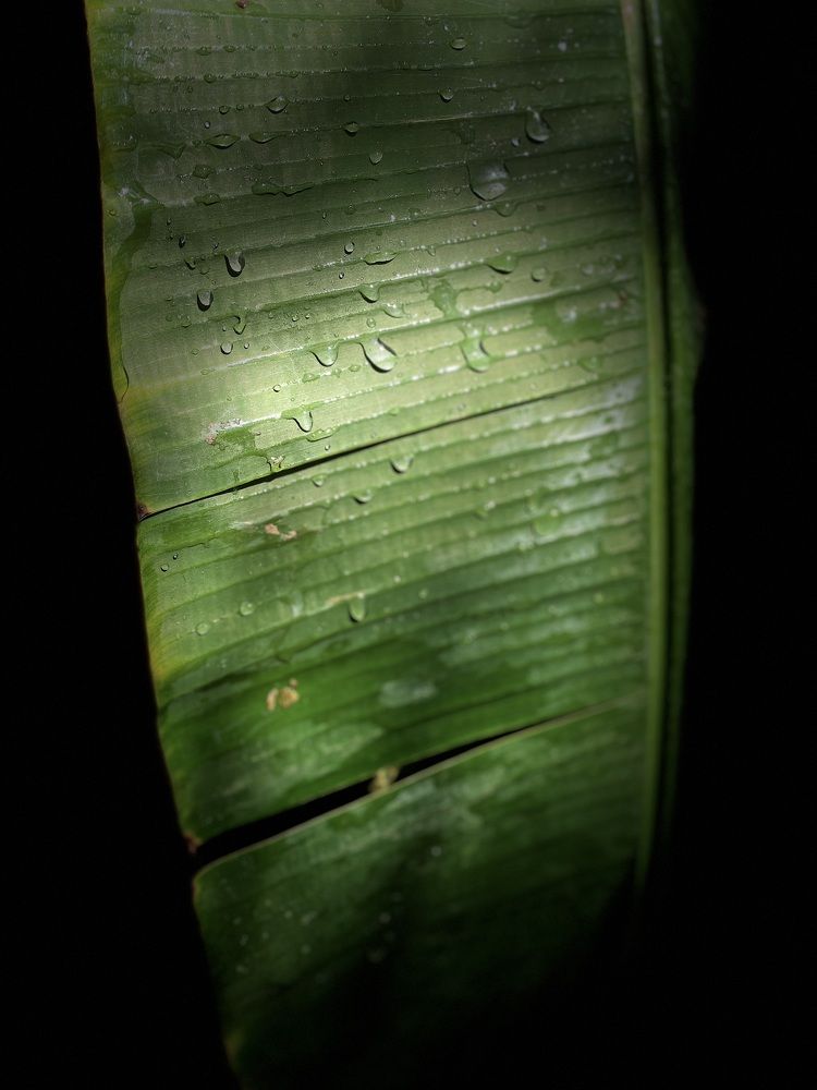 Photograph by Waleed Yousuf Alwahaibi