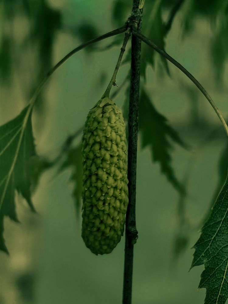 Photograph by Наталья Балабанова