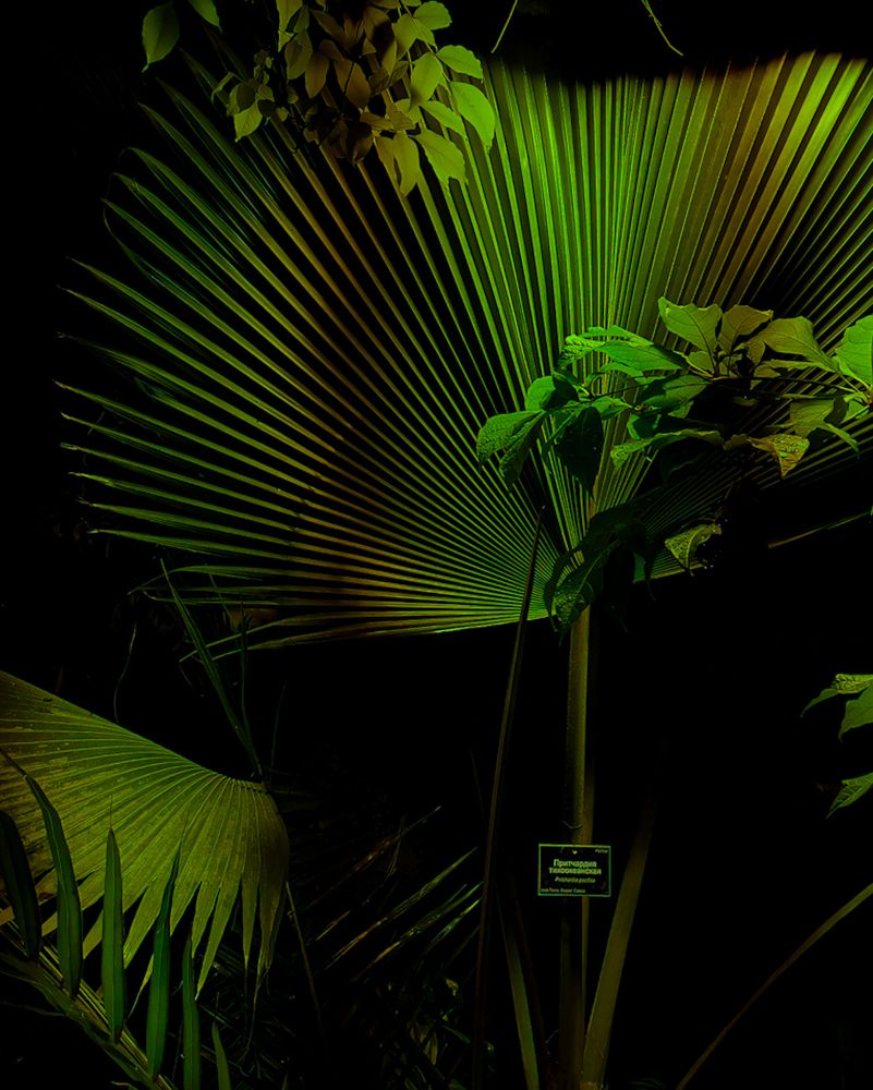 Photograph by Наталья Балабанова