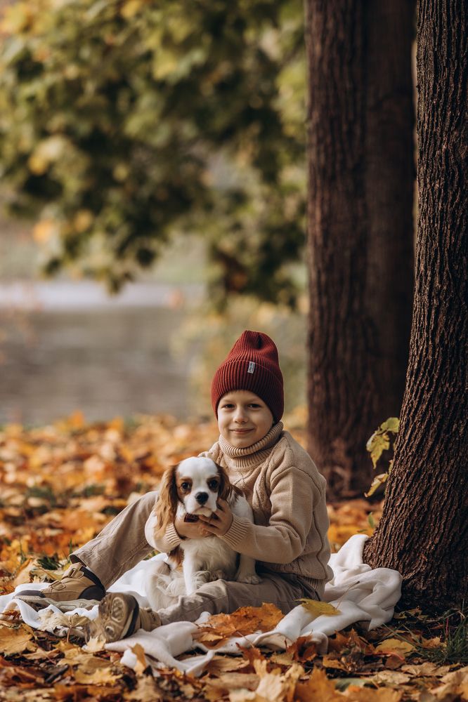 Фотография автора Илья Корненков