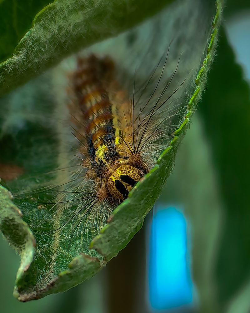 Photograph by Наталья Балабанова