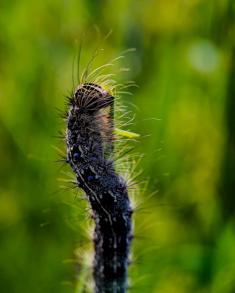 Photograph by Наталья Балабанова