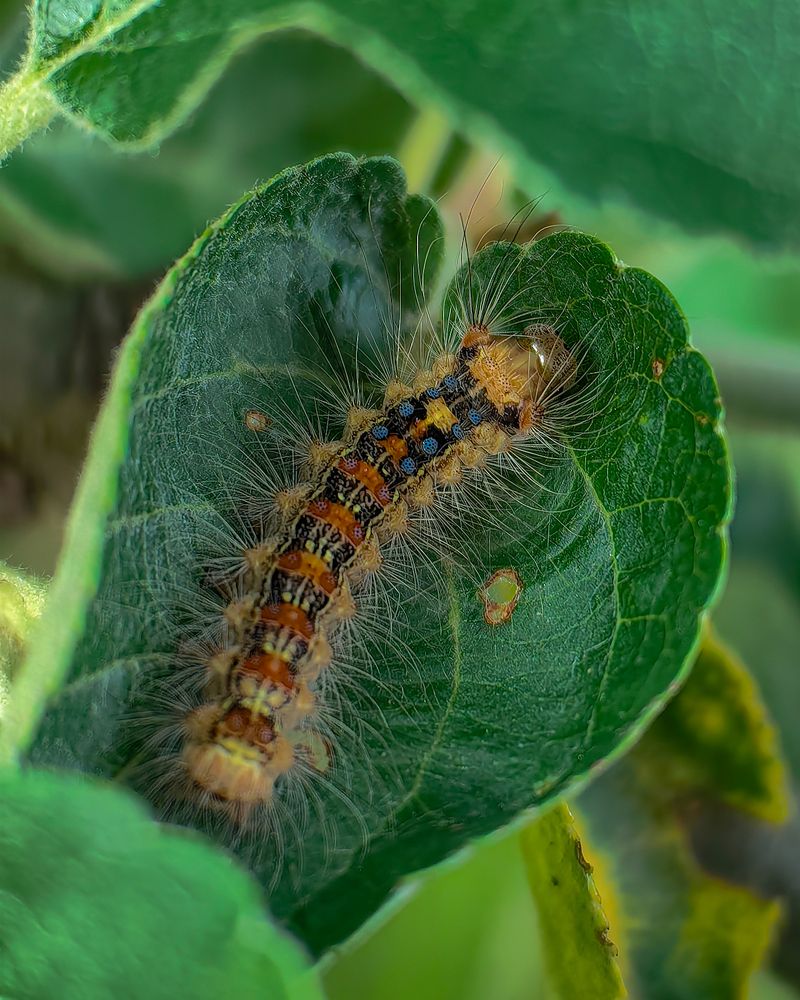 Photograph by Наталья Балабанова