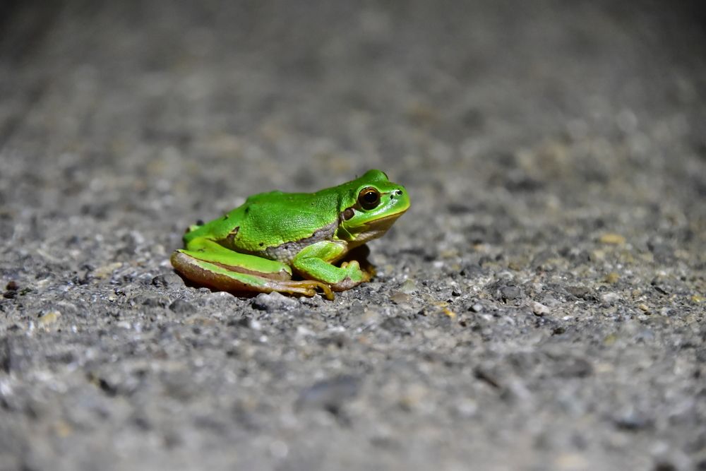 Photograph by Светлана Ивановна