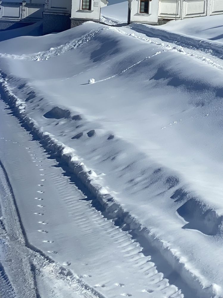 Photograph by Наталья Никитина