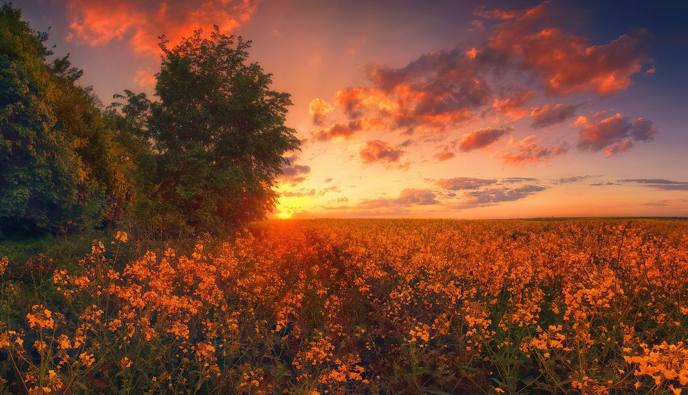 Photograph by Владимир