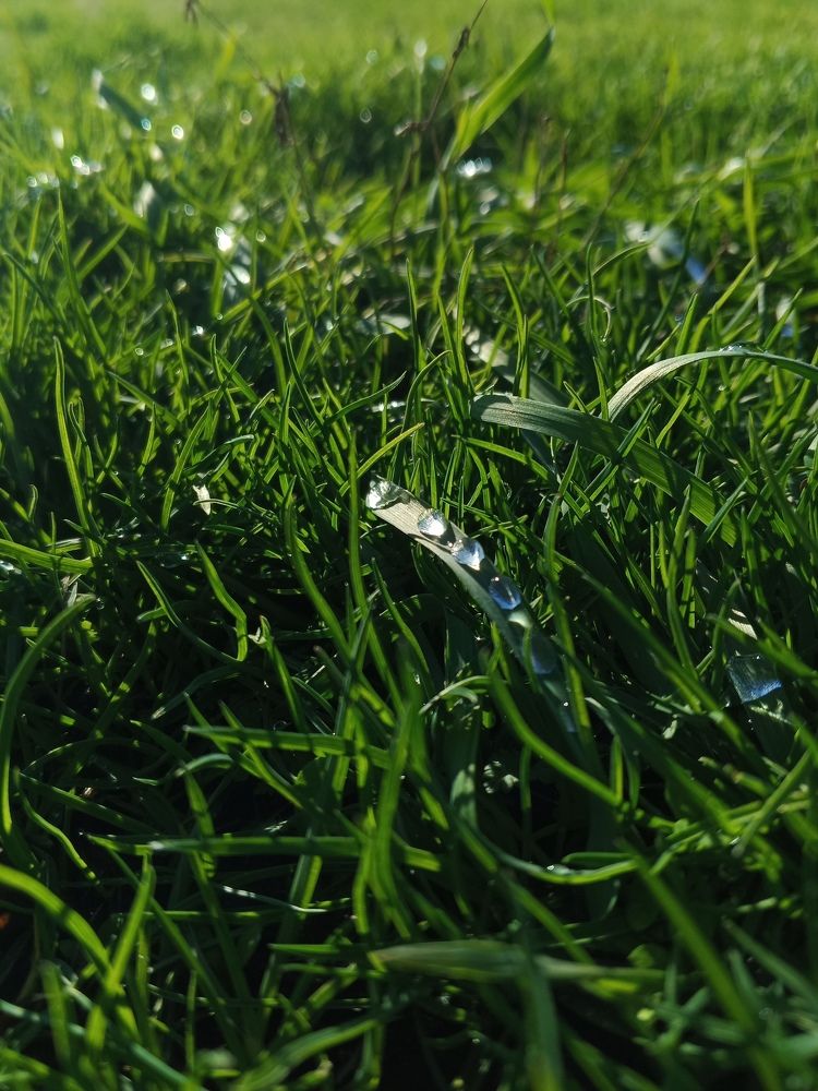 Photo #11389097