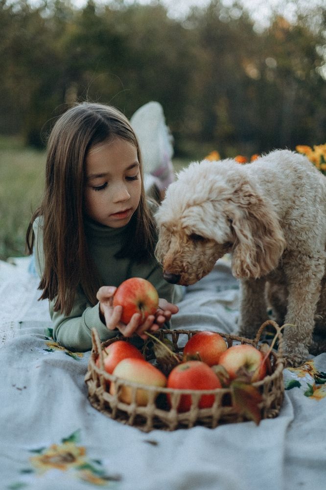 Фотография автора Ксения Афанасьева