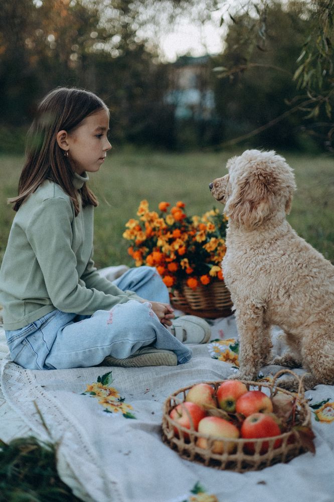 Фотография автора Ксения Афанасьева