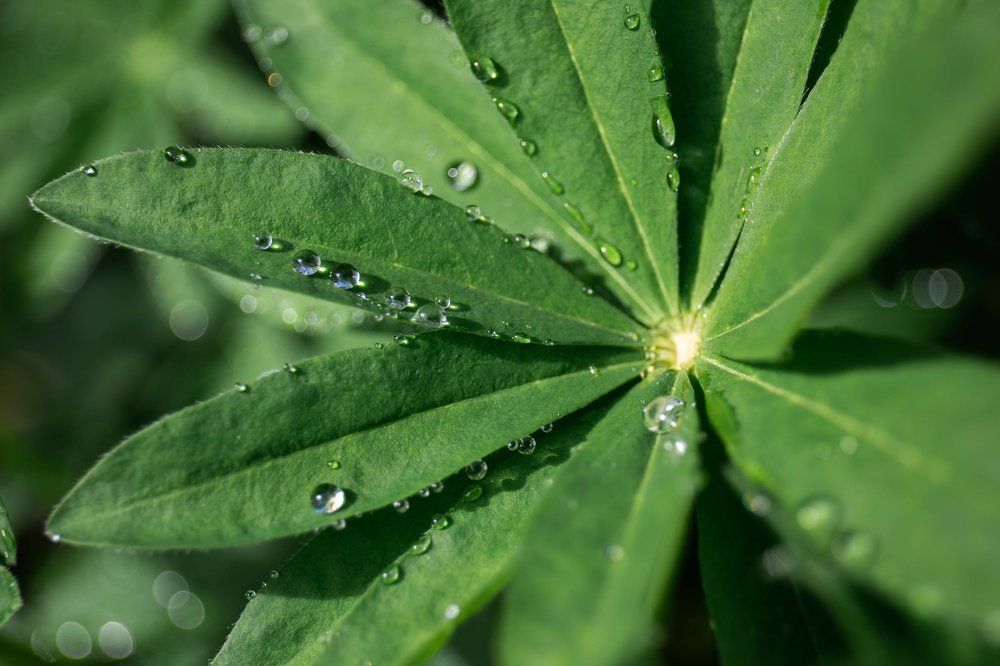 Photograph by Серова Мария