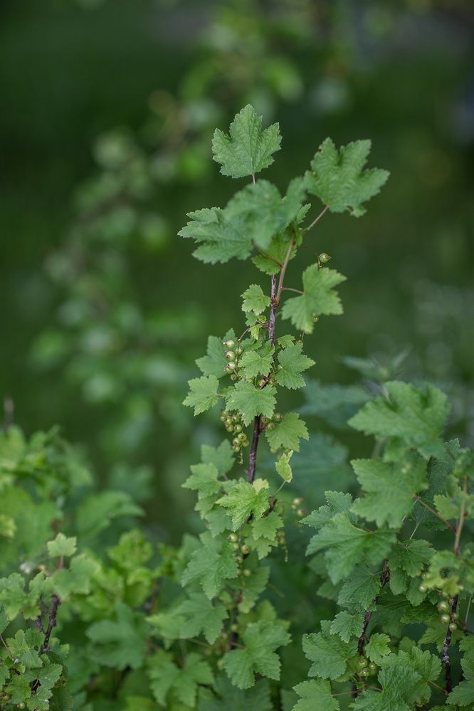 Photograph by Серова Мария