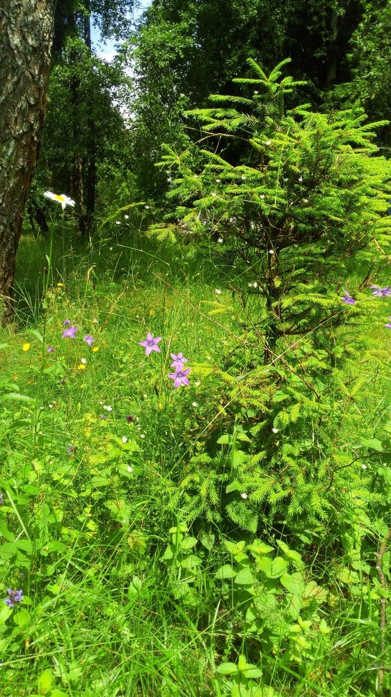 Photograph by Ольга Хромова