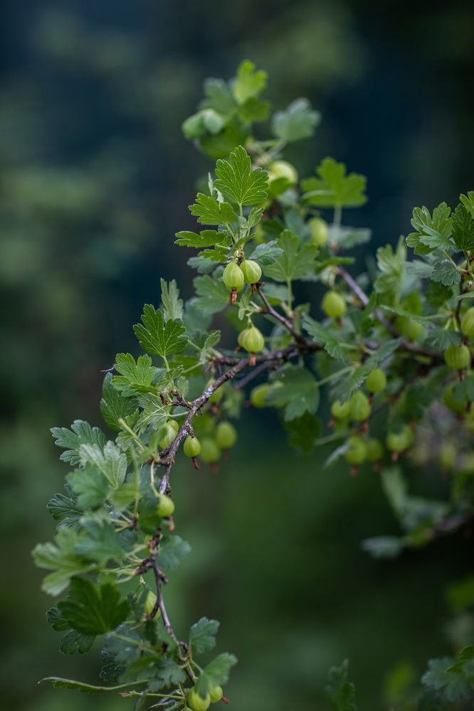 Photograph by Серова Мария