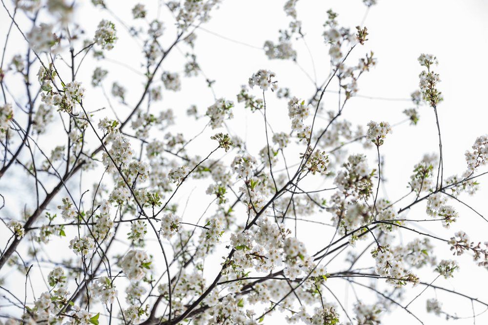 Photograph by Серова Мария