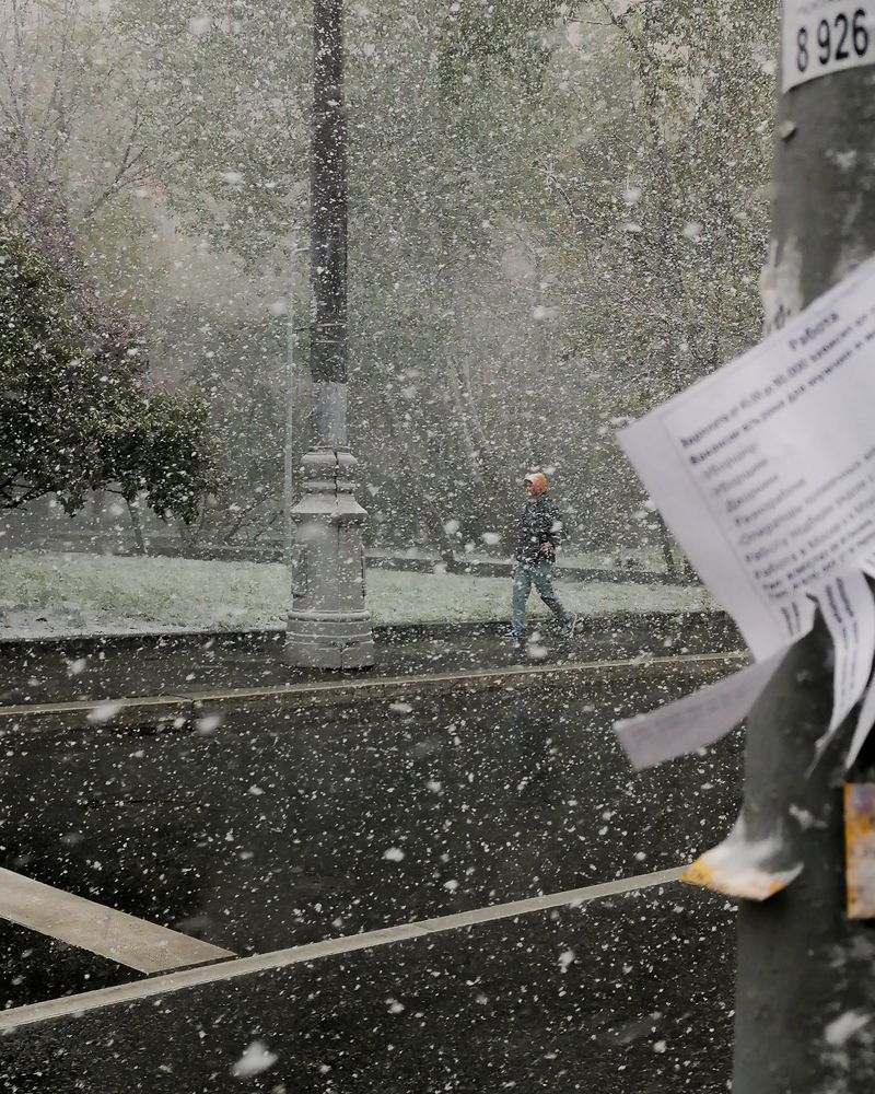 Photograph by Валерия Субботина