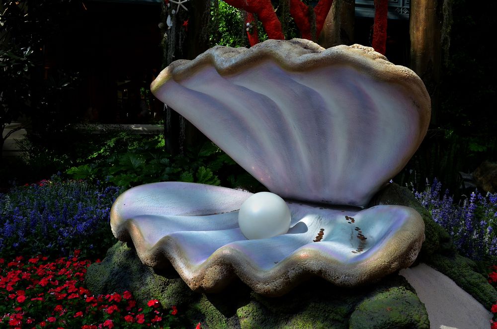 Photograph by Гришанов Пётр