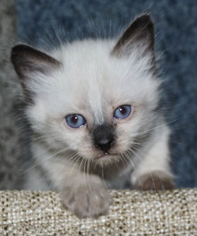 Photograph by Ольга Хромова