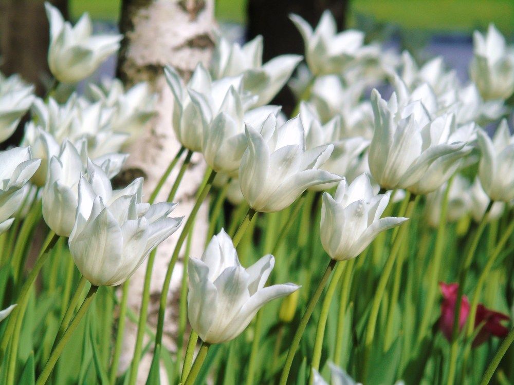 Photograph by Ольга Хромова