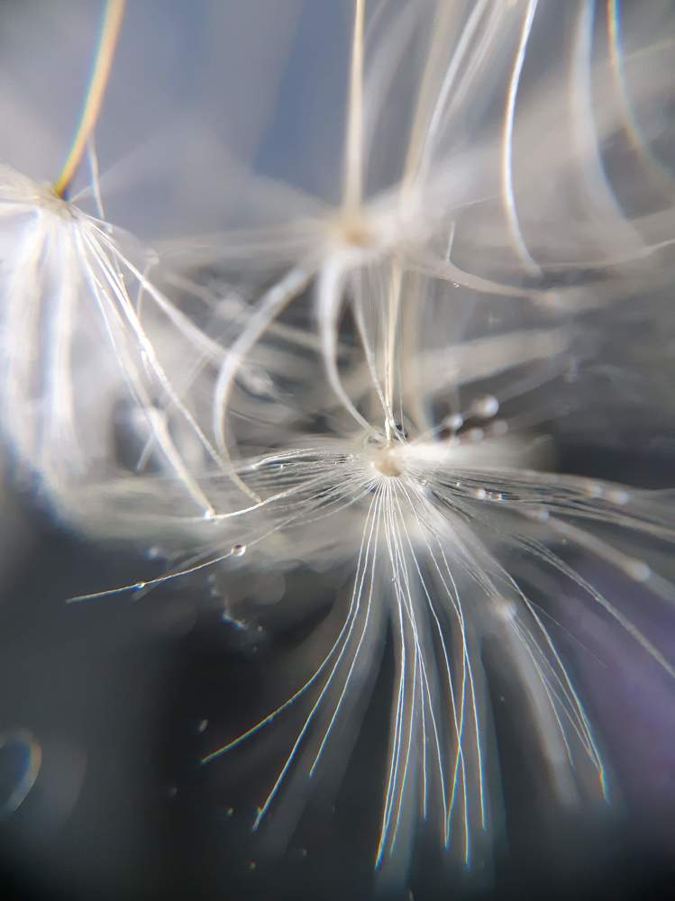 Photograph by Ольга Хромова