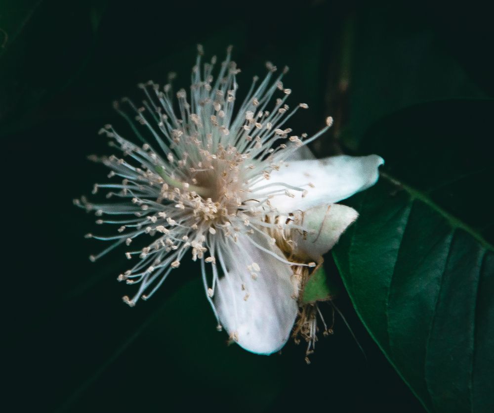 Photograph by Tina Domingos