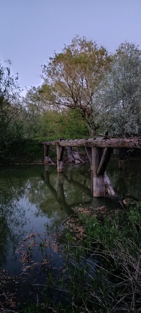 Photograph by Виталий К.