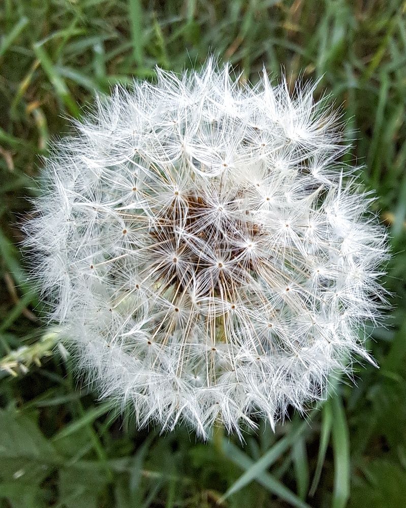 Photograph by Оксана Юдина