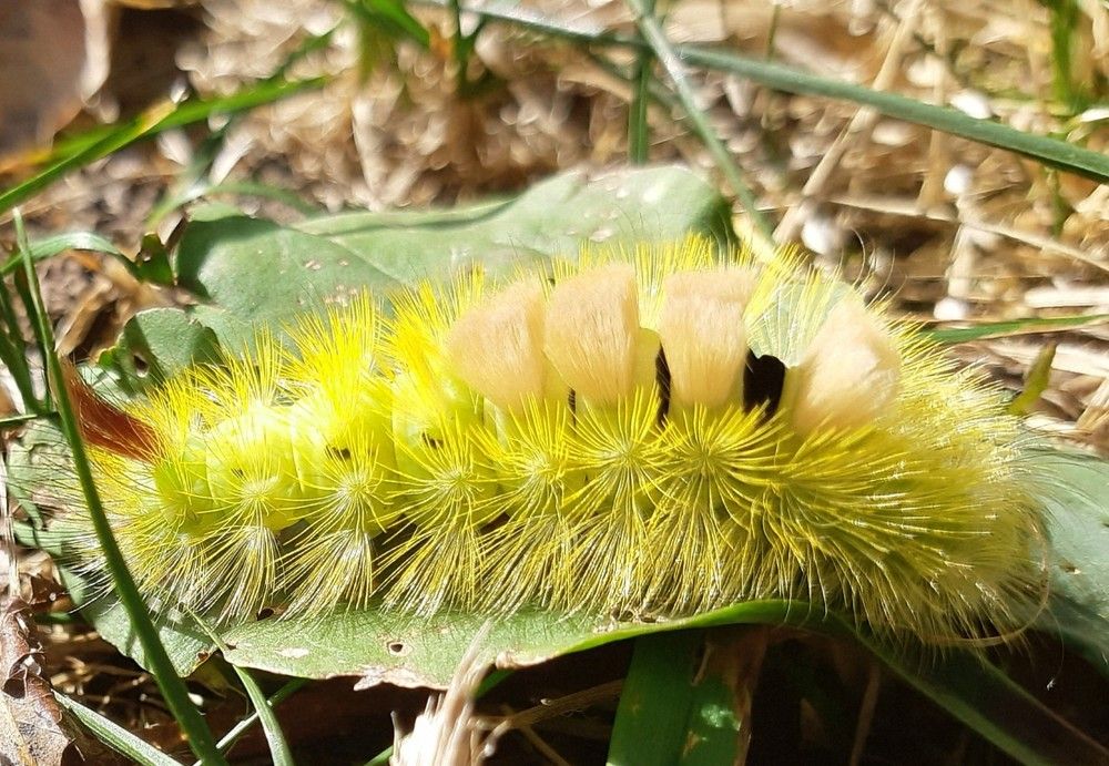 Photograph by Ольга Хромова