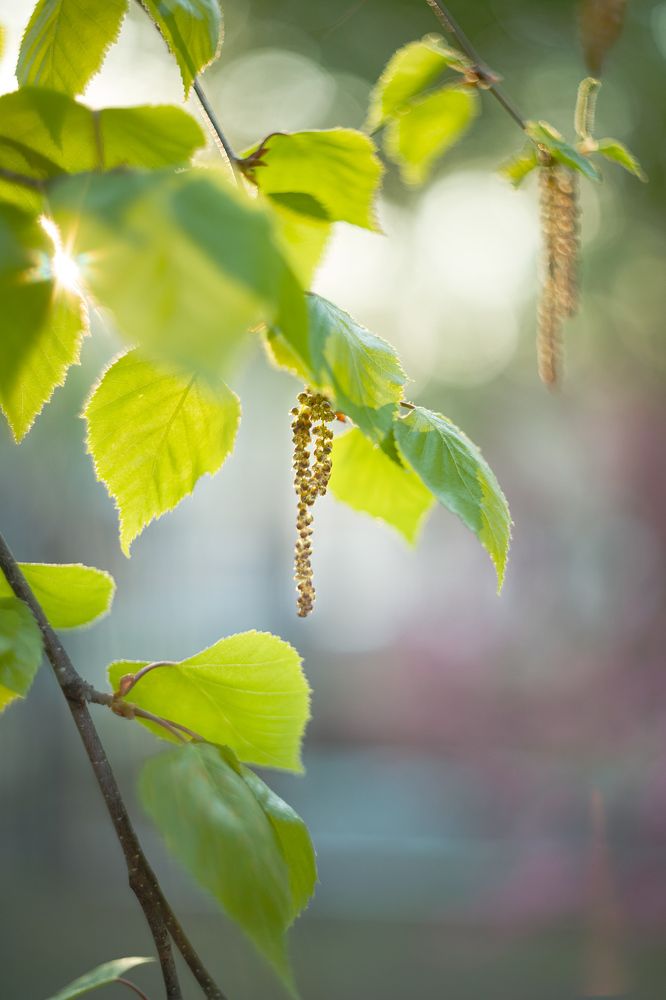 Photograph by Екатерина Мезенова