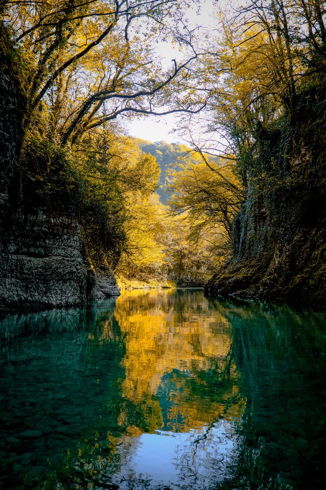 Photograph by Tatiana Meshcheryakova