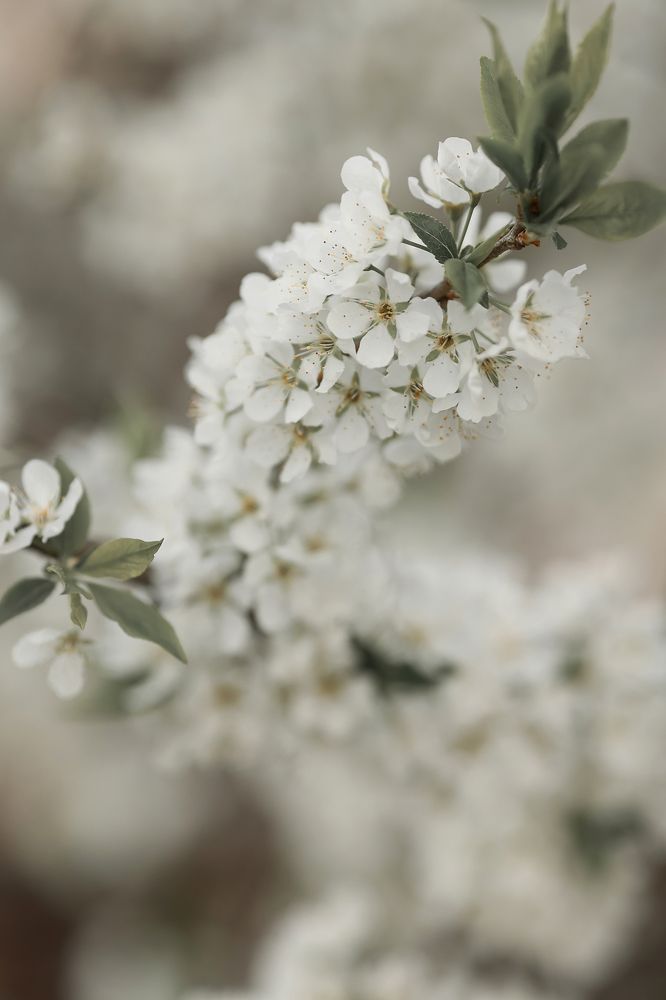 Photograph by Юлия Моисеева