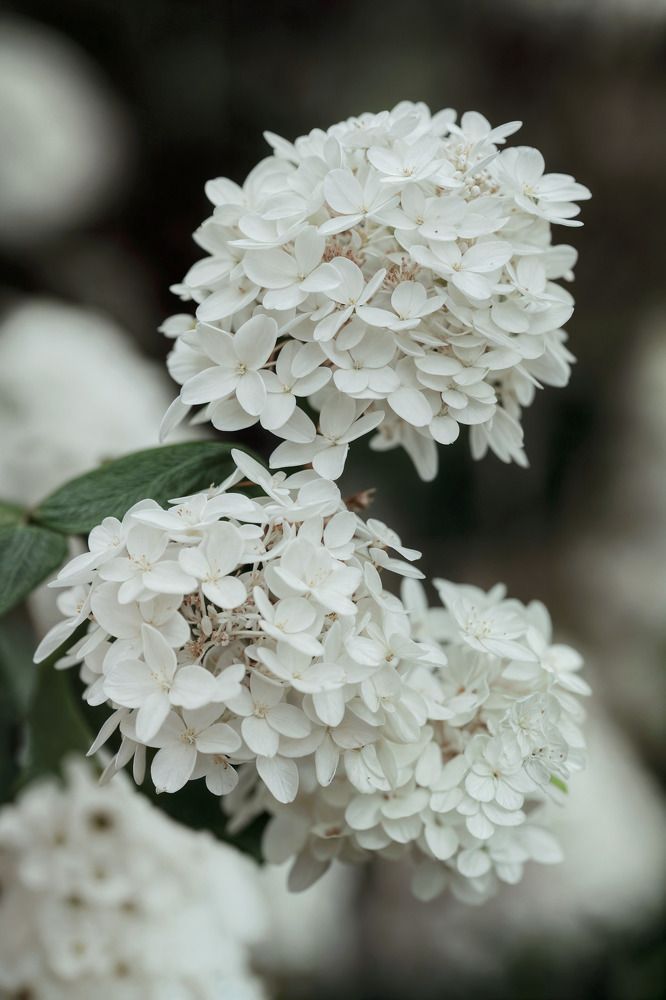 Photograph by Юлия Моисеева