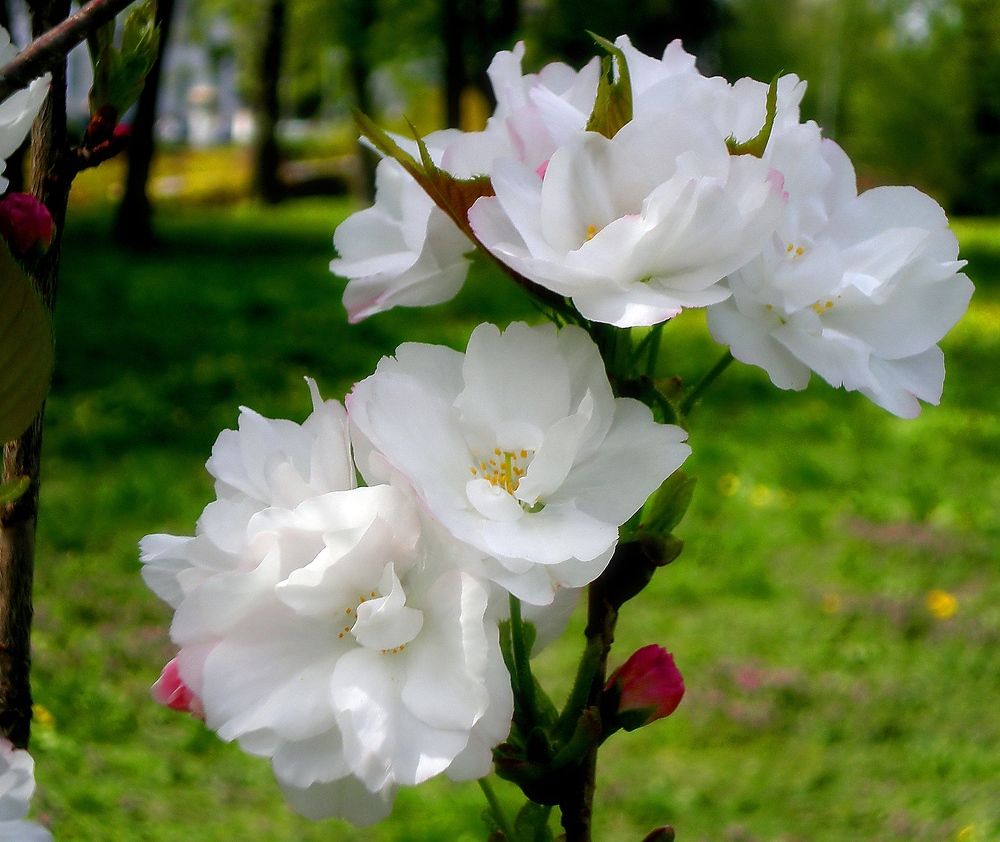 Фотография автора Роман Савоцкий