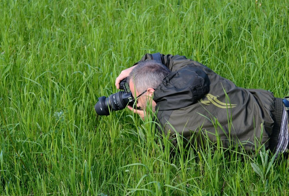 Photograph by Кира Орлова