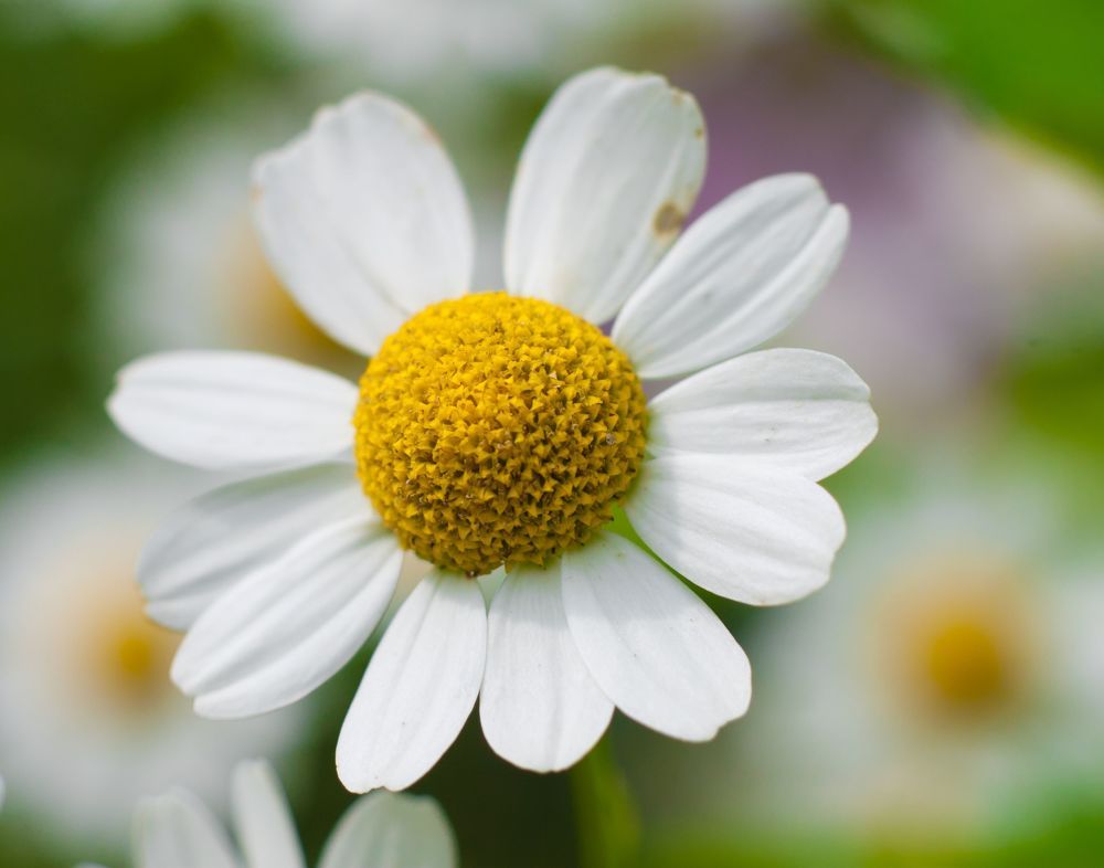 Photograph by Татьяна