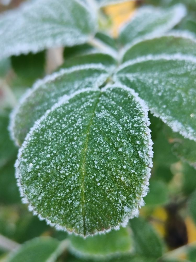 Photograph by Татьяна