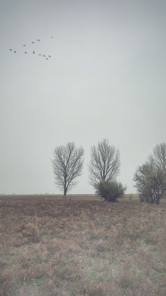 Фотография автора Анастасия Мамаева