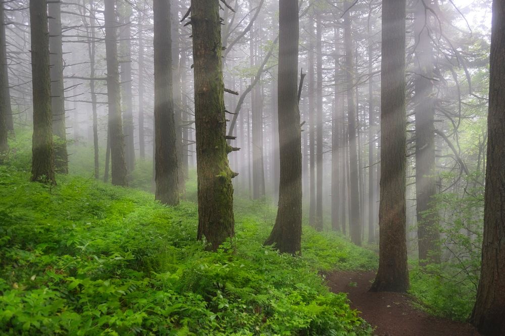 Photograph by Marina Poushkina