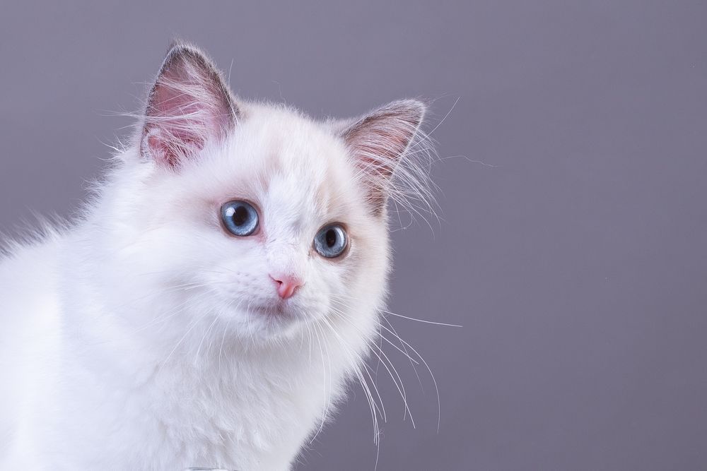 Photograph by наталья залогина