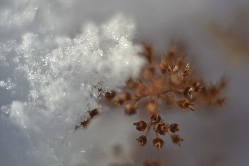 Photograph by Olga Mishenina