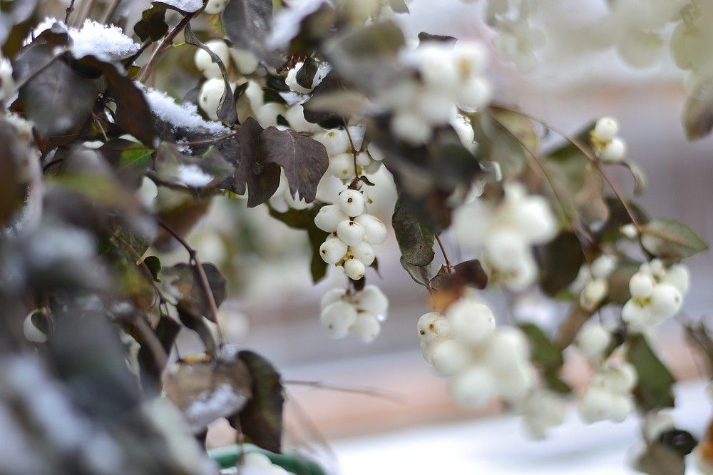 Photograph by Olga Mishenina