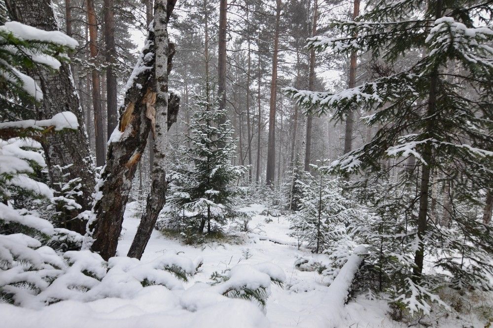 Photograph by Olga Mishenina