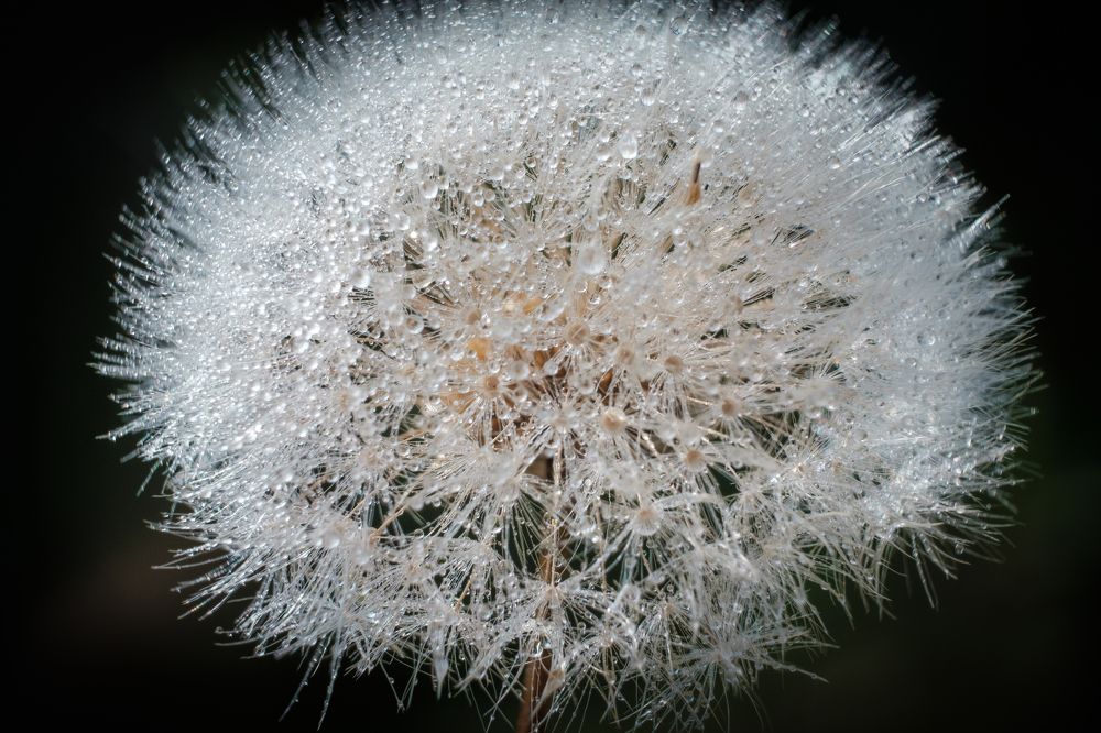 Photograph by Наталья Максимова